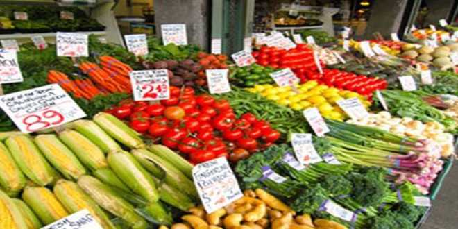 Η Θεοδώρα Τζάκρη για τη “Διακίνηση και εμπορεία νωπών – ευαλλοίωτων αγροτικών προϊόντων” Η Θεοδώρα Τζάκρη για τη “Διακίνηση και εμπορεία νωπών – ευαλλοίωτων αγροτικών προϊόντων”